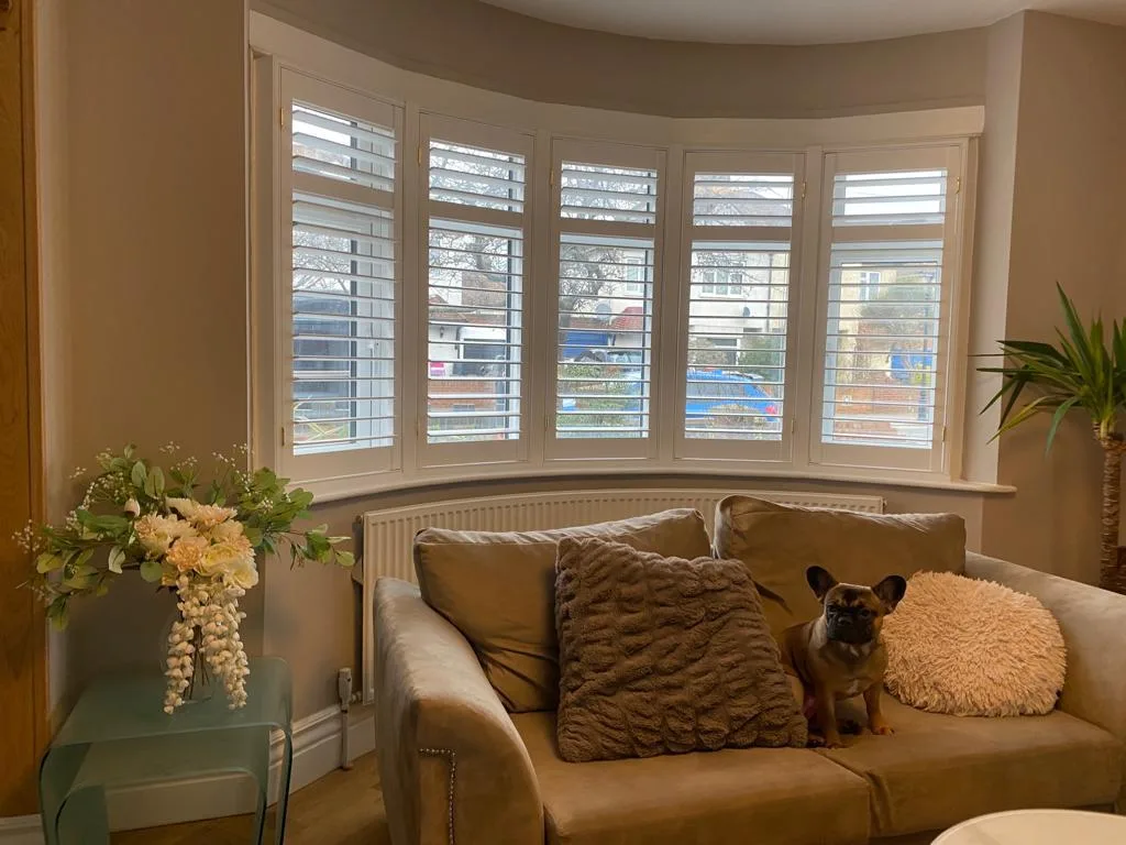 White plantation shutters installed in a bay window in a living room, with a dog on the sofa.