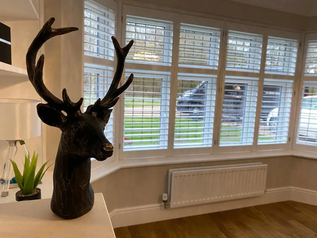 Full Height shutters in Newcastle